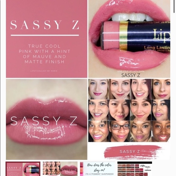 LipSense Other - Lipsense “Sadsy Z”. Brand new